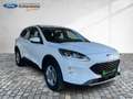 Ford Kuga PHEV Cool & Connect Navi Tempomat 2xPDC SHZ Bianco - thumbnail 15