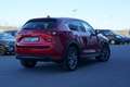 Mazda CX-5 SKYACTIV-D Signature+*Matrix-LED*Bose*360°* Rojo - thumbnail 5