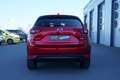 Mazda CX-5 SKYACTIV-D Signature+*Matrix-LED*Bose*360°* Rojo - thumbnail 28