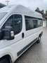 Fiat Ducato Ducato 35 L3H2 150 Kombi Flex-Floor Weiß - thumbnail 3