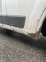 Fiat Ducato Ducato 35 L3H2 150 Kombi Flex-Floor Weiß - thumbnail 13