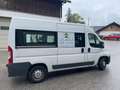 Fiat Ducato Ducato 35 L3H2 150 Kombi Flex-Floor Weiß - thumbnail 11