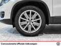 Volkswagen Tiguan 2.0 tdi track&style 4motion 140cv dsg Bianco - thumbnail 17