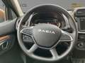 Dacia Spring Electric 65PS Extreme Rückfahrkamera Blau - thumbnail 10