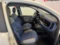 Fiat Panda Panda 1.2 Easy 69cv E6 UNIPROP. 30.000 KM Blanc - thumbnail 13