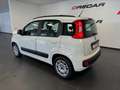 Fiat Panda Panda 1.2 Easy 69cv E6 UNIPROP. 30.000 KM Blanc - thumbnail 5