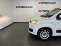 Fiat Panda Panda 1.2 Easy 69cv E6 UNIPROP. 30.000 KM Blanc - thumbnail 7