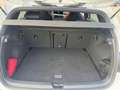 Volkswagen Golf VIII 2.0 TSI DSG GTI+BLACK+IQ+PANO+HARMAN Weiß - thumbnail 16