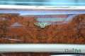 Bentley Arnage Long wheelbase Azul - thumbnail 10