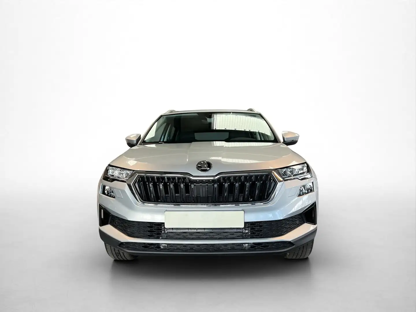 Skoda Karoq Selection Plus 1,5TSI DSG 110KW/150PS Panormada... Silber - 2