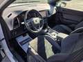 SEAT Ateca TSI // XCELLENCE / AHK / KAMERA / ACC / WENIG KM / Weiß - thumbnail 12