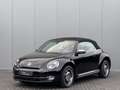 Volkswagen Beetle Cabriolet 1.4 TSI DSG 50's Edition | Leder | Xenon Noir - thumbnail 5