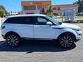 Land Rover Range Rover Evoque Pure Bianco - thumbnail 6