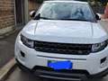 Land Rover Range Rover Evoque Pure Bianco - thumbnail 4