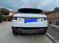 Land Rover Range Rover Evoque Pure Bianco - thumbnail 3