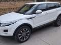 Land Rover Range Rover Evoque Pure Bianco - thumbnail 1