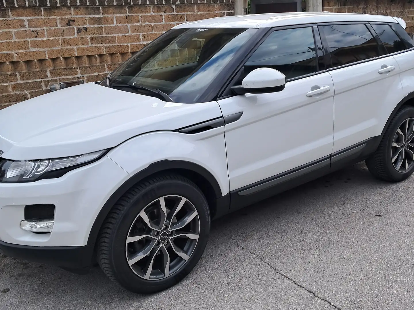 Land Rover Range Rover Evoque Pure Bianco - 1