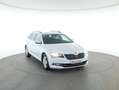 Skoda Superb Ambition TDI Weiß - thumbnail 3