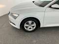 Skoda Superb Ambition TDI Weiß - thumbnail 10