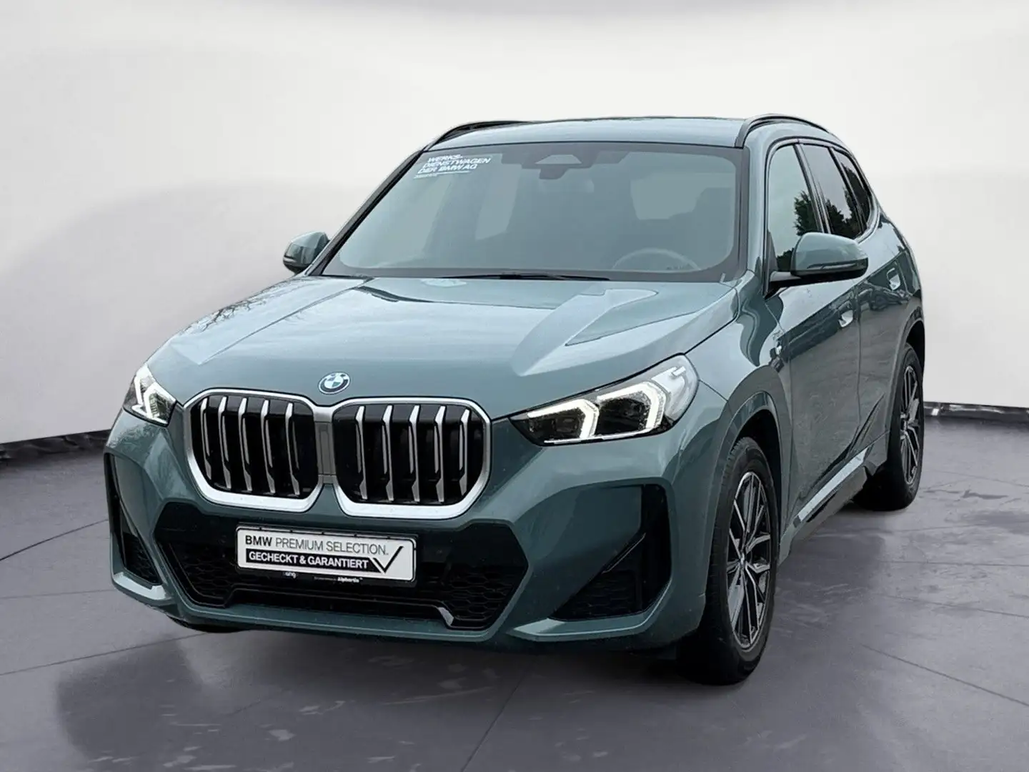 BMW X1 sDrive20d M Sport Navi Klima Leder PDC Kamera Grün - 2