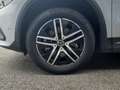 Mercedes-Benz GLA 250 250 e 8G-DCT Business Line Grau - thumbnail 29