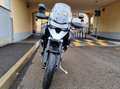 Triumph Tiger 1200 GT Pro Alb - thumbnail 3