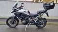 Triumph Tiger 1200 GT Pro Alb - thumbnail 2