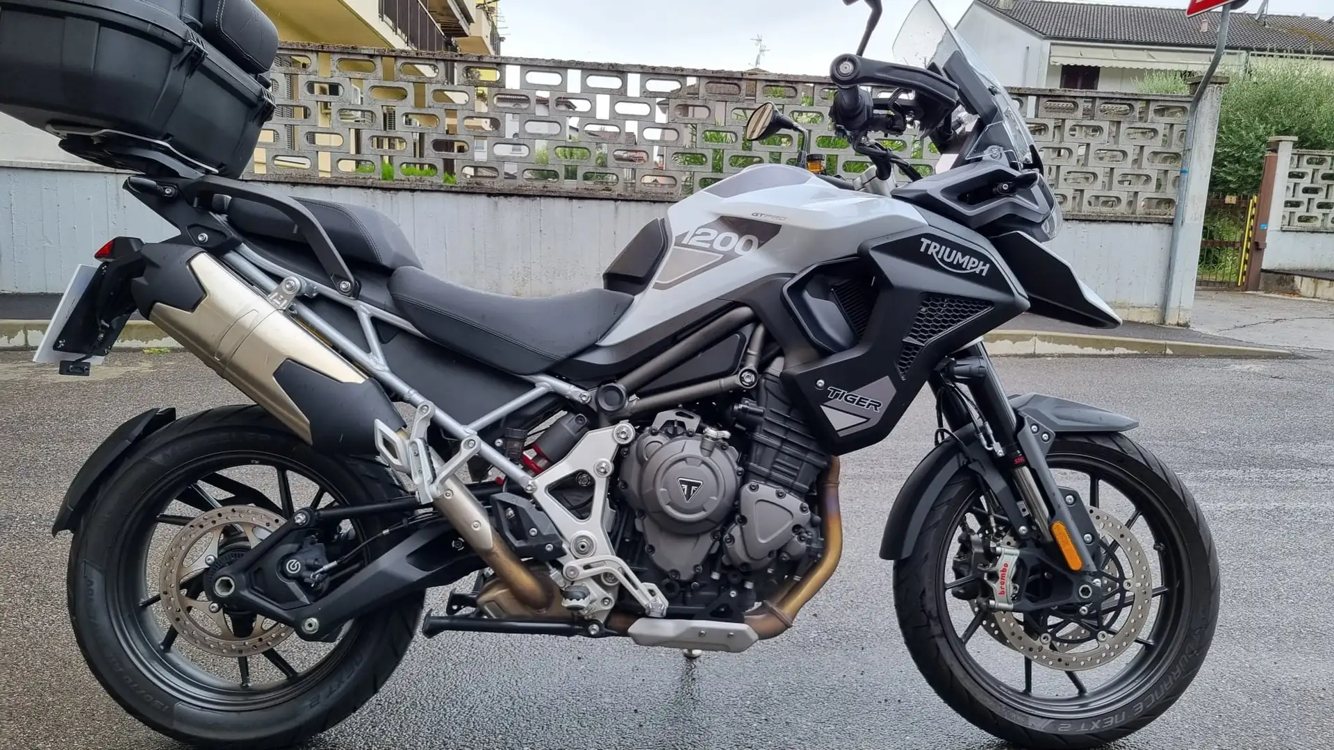 Triumph Tiger 1200 GT Pro Alb - 1