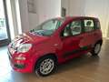 Fiat Panda Panda III 2016 1.2 Easy 69cv E6 Rosso - thumbnail 4