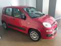 Fiat Panda Panda III 2016 1.2 Easy 69cv E6 Rosso - thumbnail 2