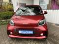smart forTwo EQ cabrio*EXCLUSIVE*22kW*CAM*MEDIA*ALLW*LED*SHZ* Rojo - thumbnail 15