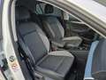 Volkswagen Golf 8.5 1.5 eTSI Goal Edition Trekhaak/Stoelverwarming Wit - thumbnail 25