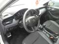 Skoda Kamiq Active Sitzheizung PDC hinten Weiß - thumbnail 15