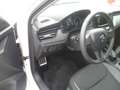 Skoda Kamiq Active Sitzheizung PDC hinten Weiß - thumbnail 16