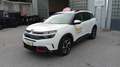 Citroen C5 Aircross 1.5 bluehdi 71 N Limited Edition s&s 130cv eat8 Bianco - thumbnail 1