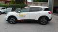 Citroen C5 Aircross 1.5 bluehdi 71 N Limited Edition s&s 130cv eat8 Bianco - thumbnail 8