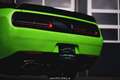 Dodge Challenger SRT WIDEBODY EXP € 42.980,- Grün - thumbnail 21