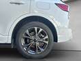Ford Kuga 2.5 Duratec PHEV ST-LINE Weiß - thumbnail 26