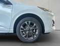 Ford Kuga 2.5 Duratec PHEV ST-LINE Wit - thumbnail 26