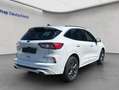 Ford Kuga 2.5 Duratec PHEV ST-LINE Wit - thumbnail 6