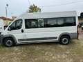 Fiat Ducato natural power disabili pedana rampa Bianco - thumbnail 4