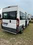 Fiat Ducato natural power disabili pedana rampa Bianco - thumbnail 6