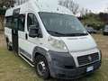 Fiat Ducato natural power disabili pedana rampa Bianco - thumbnail 2