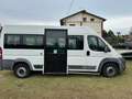Fiat Ducato natural power disabili pedana rampa Bianco - thumbnail 1