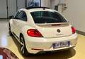 Volkswagen Maggiolino Maggiolino 2.0  Sport 140cv dsg UNICOPROPRIETARIO Blanc - thumbnail 6