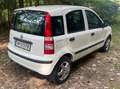 Fiat Panda Panda 1,1 ECO City ECO City - thumbnail 2