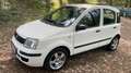 Fiat Panda Panda 1,1 ECO City ECO City - thumbnail 1