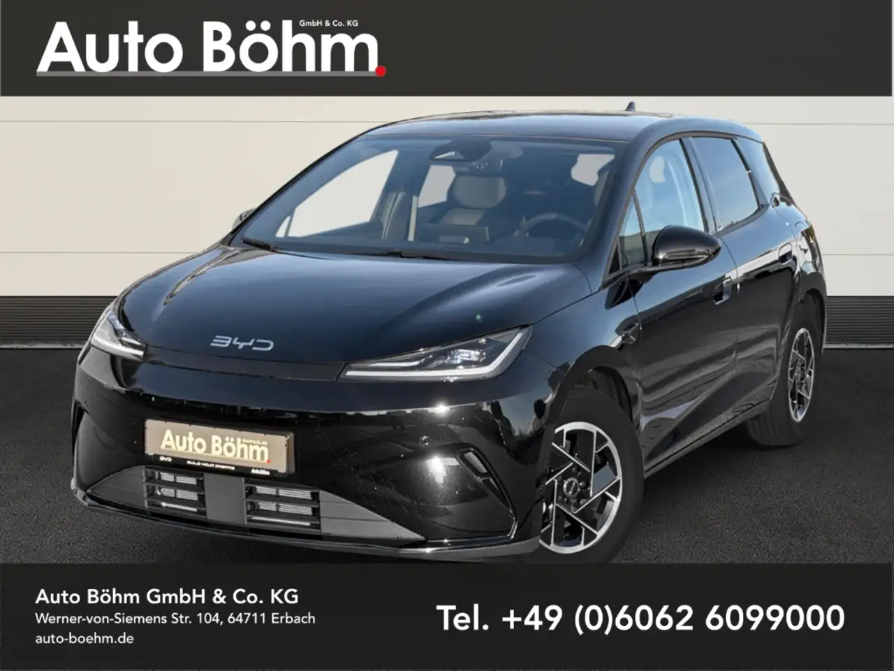 BYD Dolphin