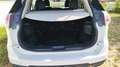 Nissan X-Trail III 1.6 dCi 130 Tekna - Entretien constructeur Toi Blanc - thumbnail 14
