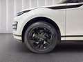 Land Rover Range Rover Evoque 2.0D I4 163 CV AWD Auto R-Dynamic S Blanc - thumbnail 14
